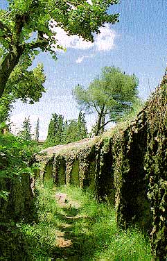 TOLEDO